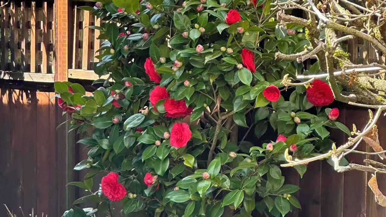 Photo of Outdoor in Arbutus Ridge