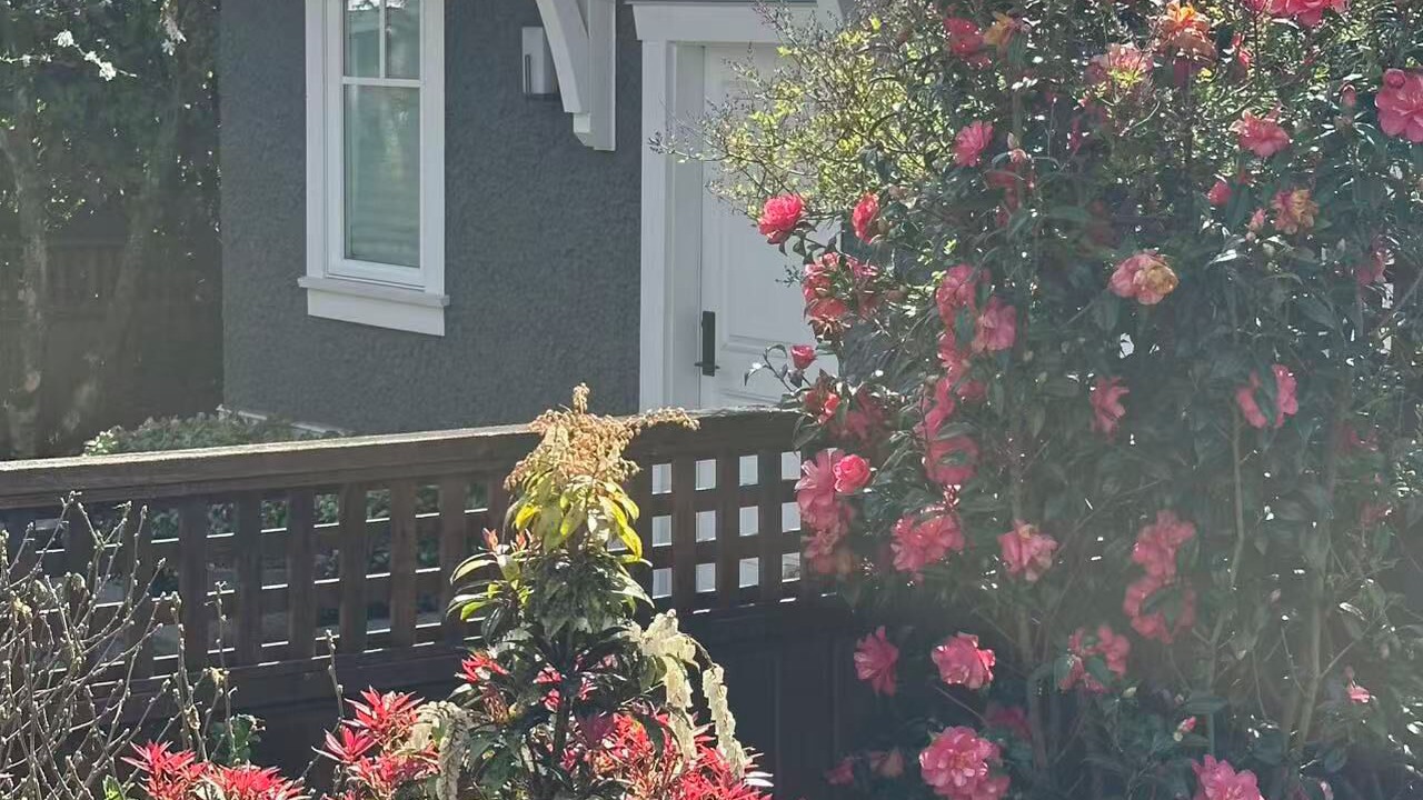 Photo of Outdoor in Arbutus Ridge