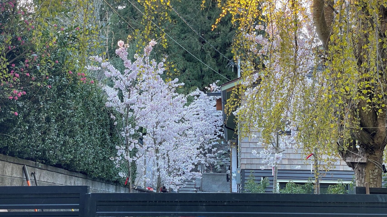 Photo of Outdoor in Horseshoe Bay