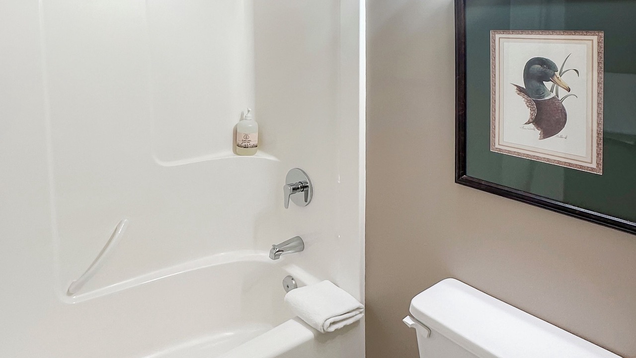 Photo of Bathroom in East Kootenay