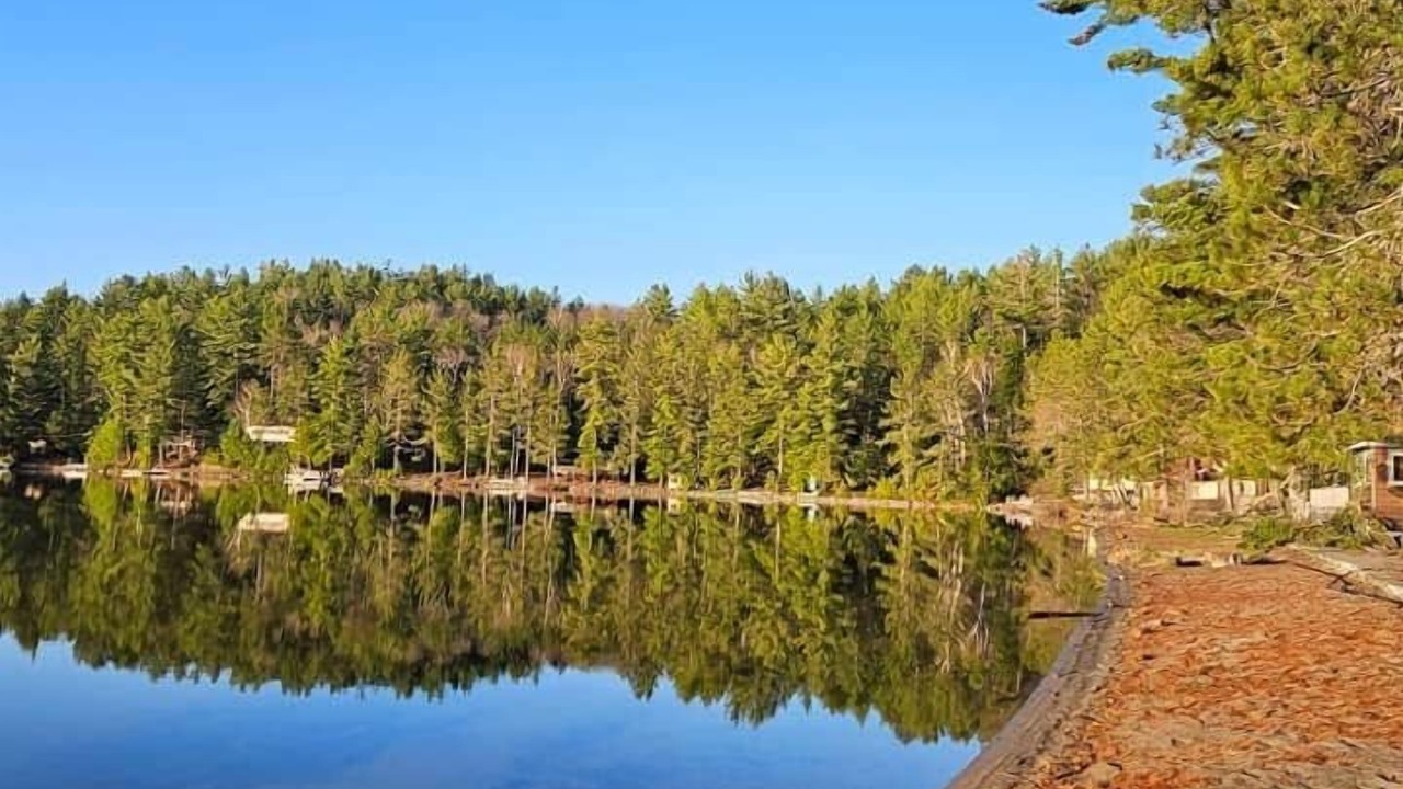 Photo of Others in Algoma District