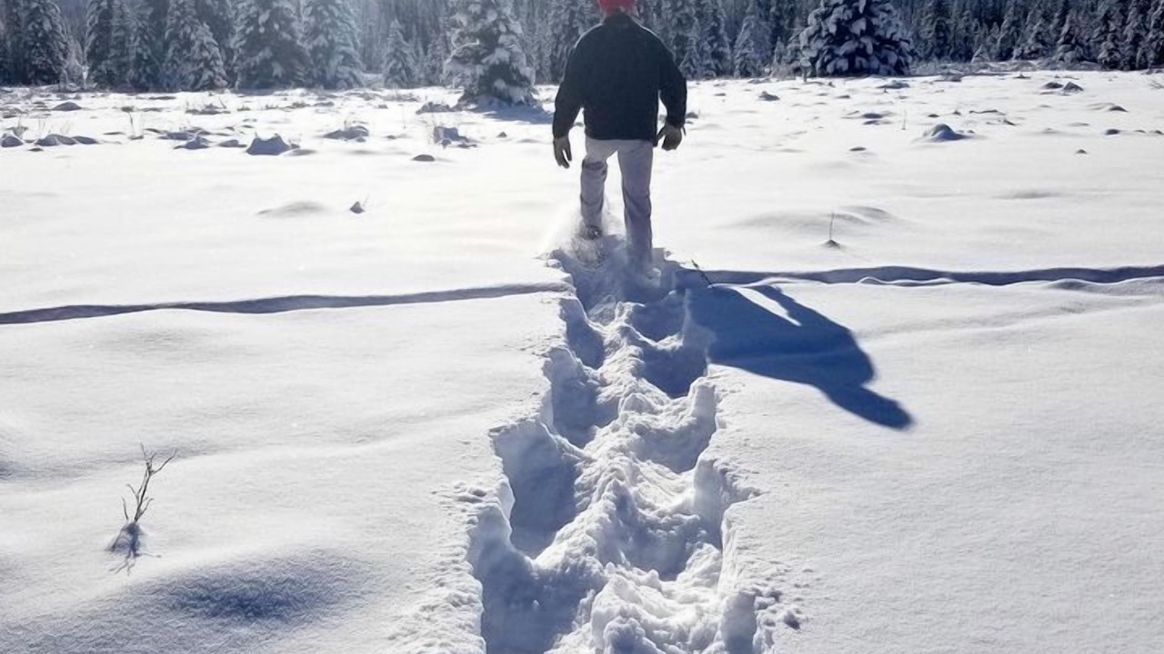 Photo of Others in Nordegg