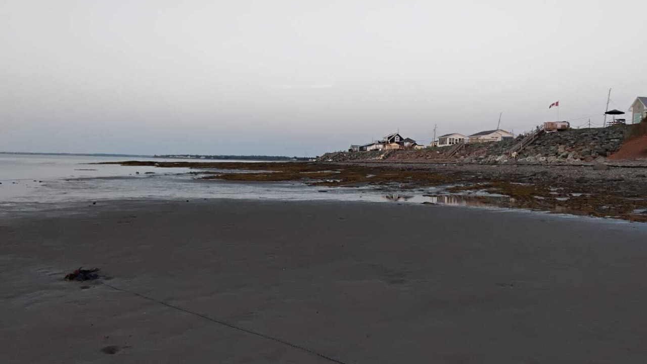 Photo of Others in Tatamagouche