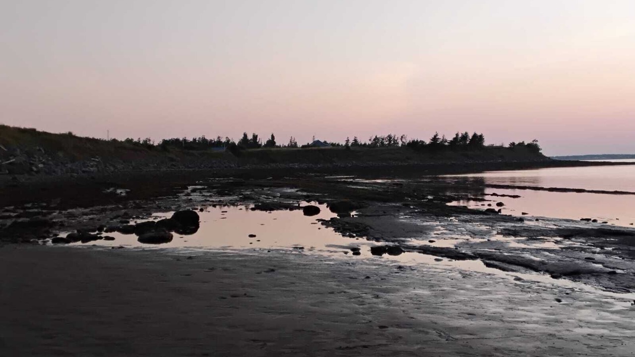 Photo of Others in Tatamagouche