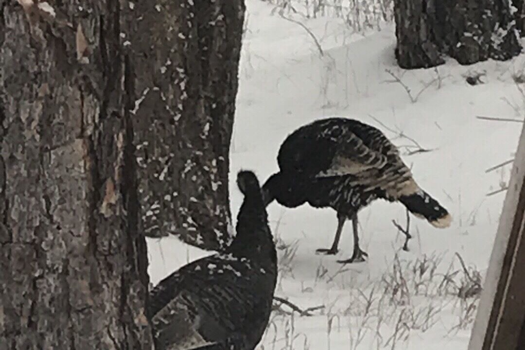 Photo of Others in Grand Forks