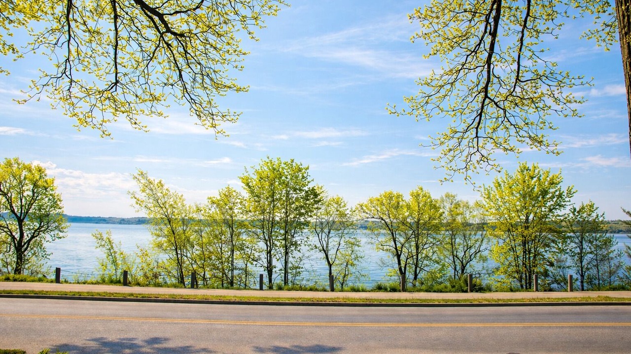 Photo of Others in Barrie
