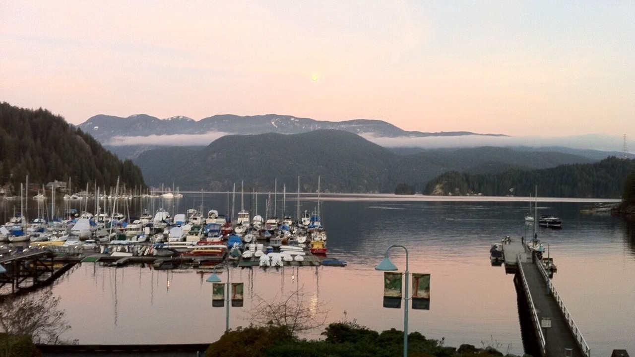 Photo of Others in Deep Cove