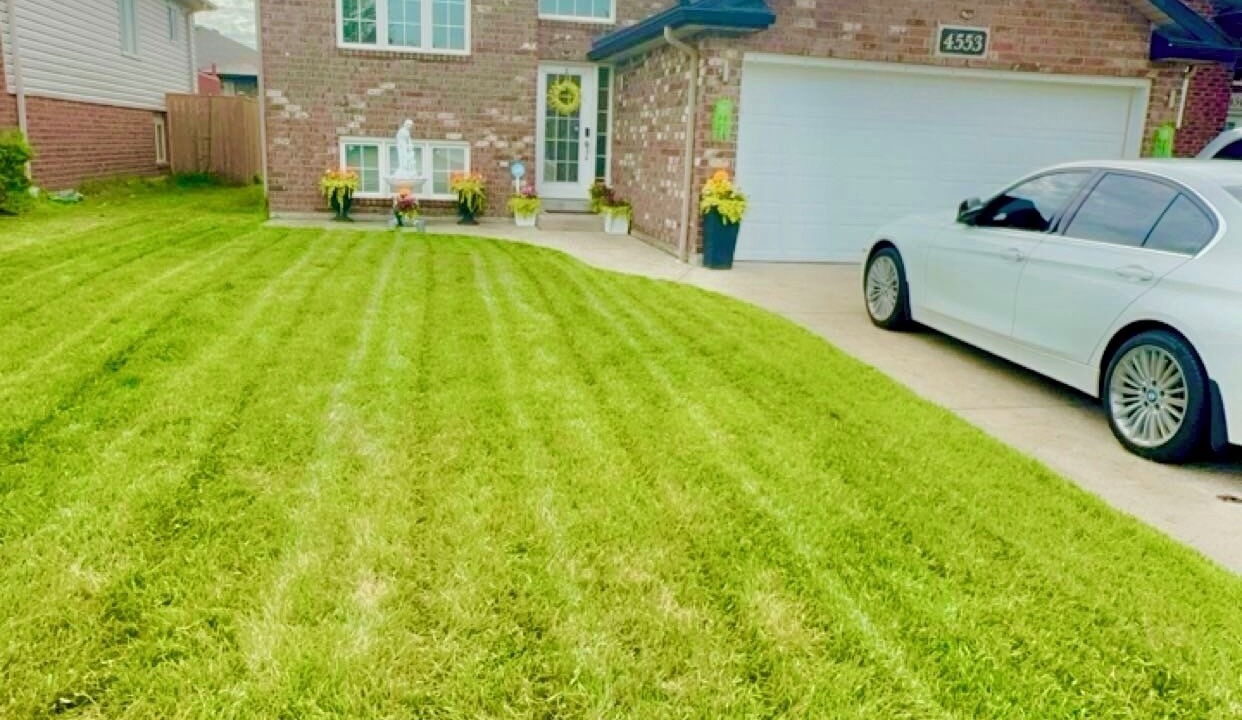 Photo of Outdoor in Windsor