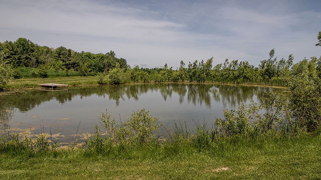 Photo of Others in Schomberg