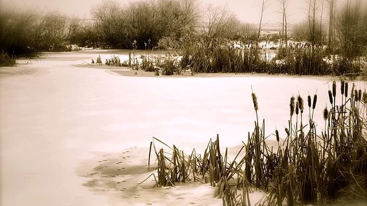 Photo of Others in West Central Saskatchewan