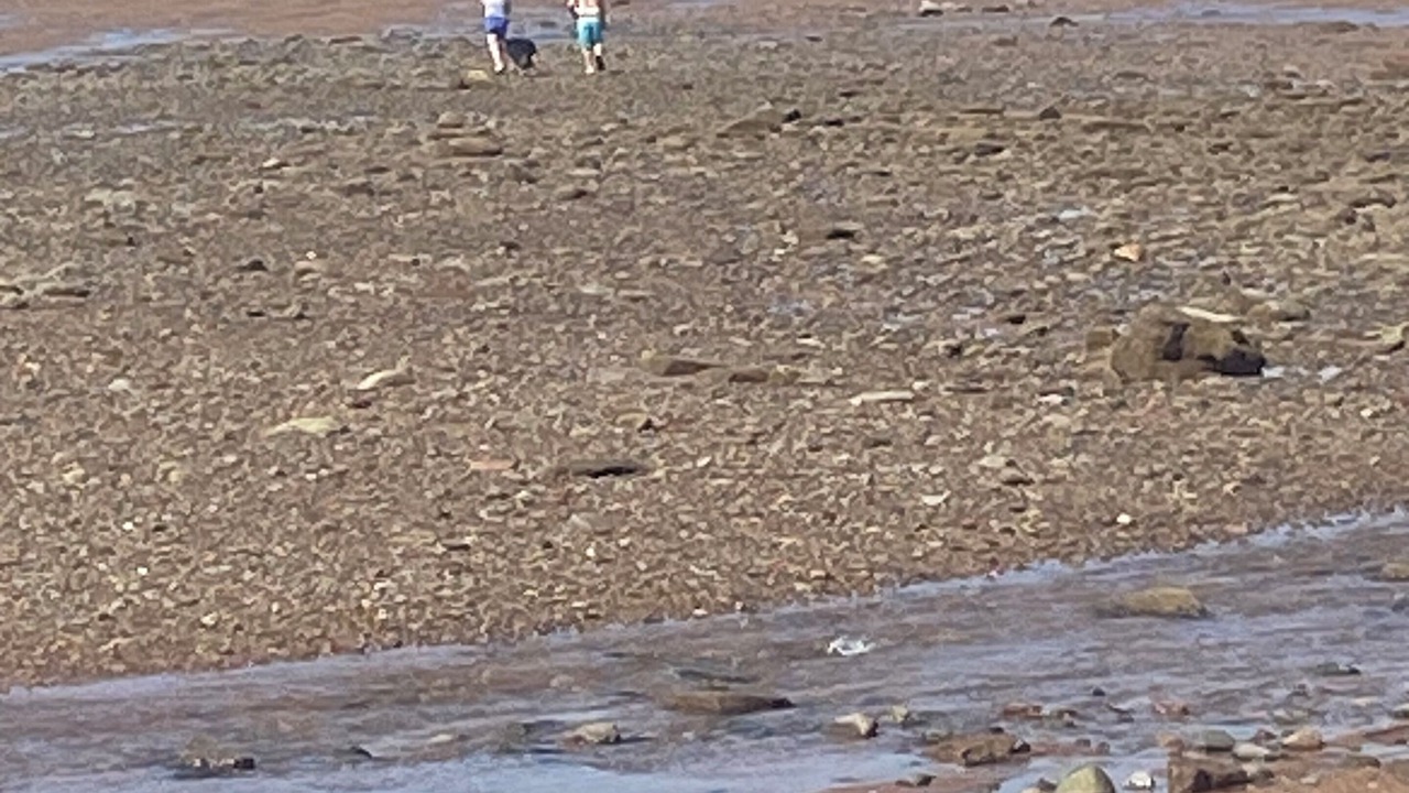 Photo of Others in Tennycape