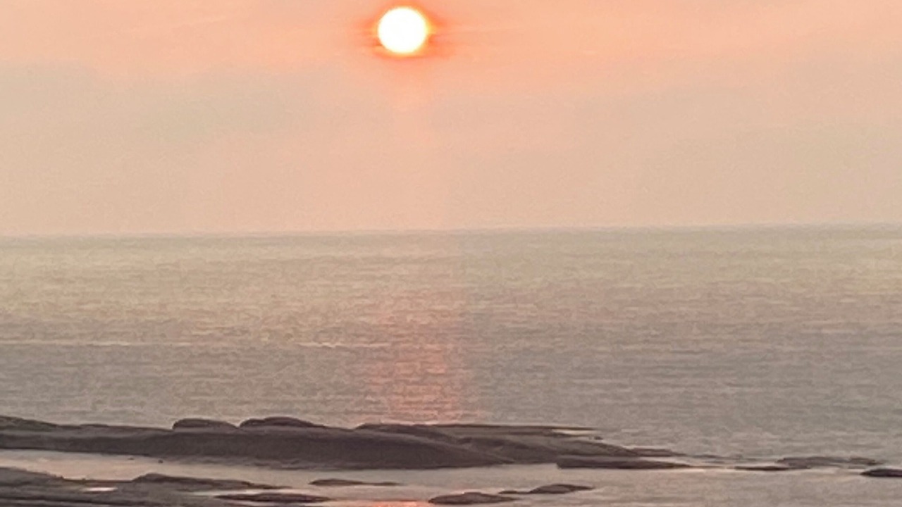 Photo of Others in Tennycape