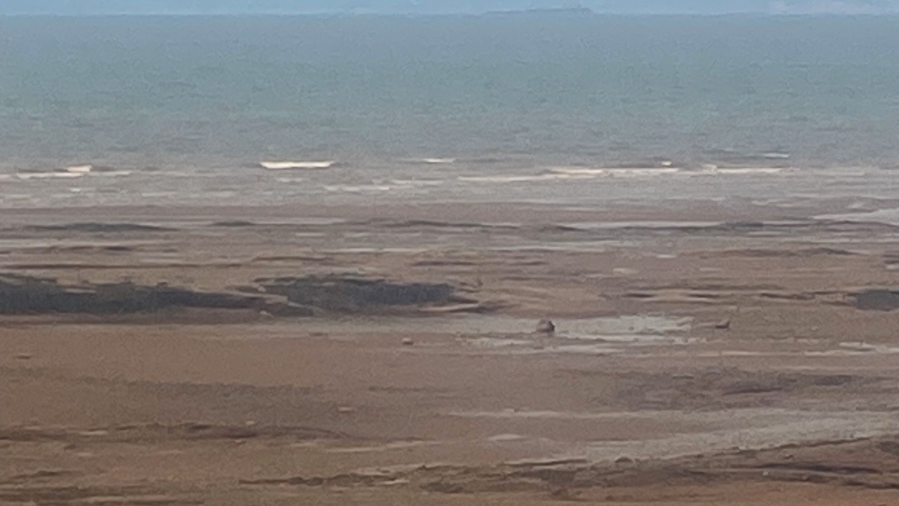 Photo of Others in Tennycape