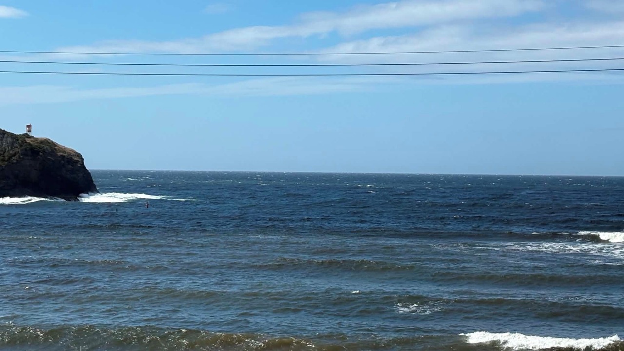 Photo of Others in Trout River