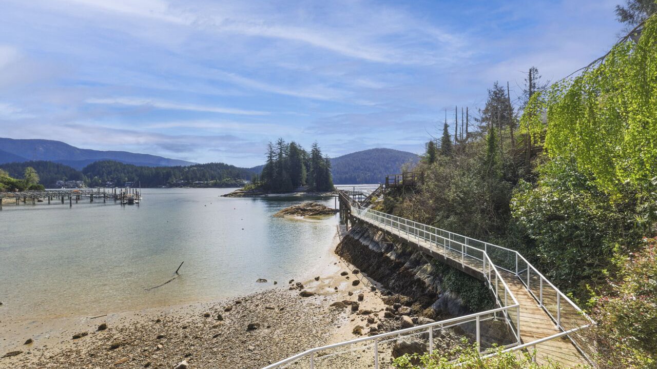 Photo of Others in Deep Cove
