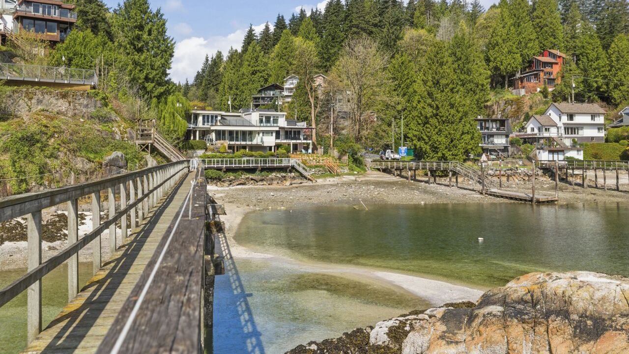 Photo of Others in Deep Cove
