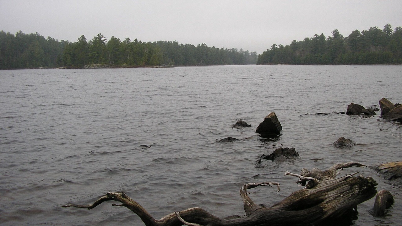Photo of Others in River Valley