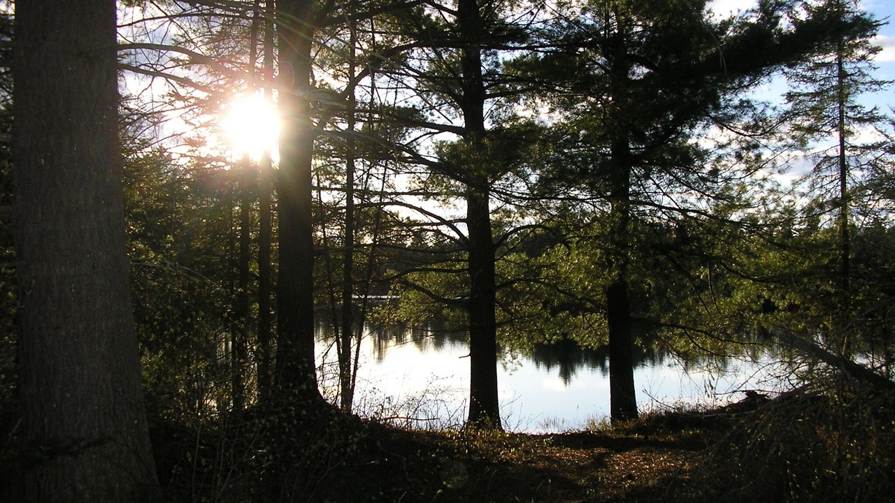 Photo of Others in River Valley