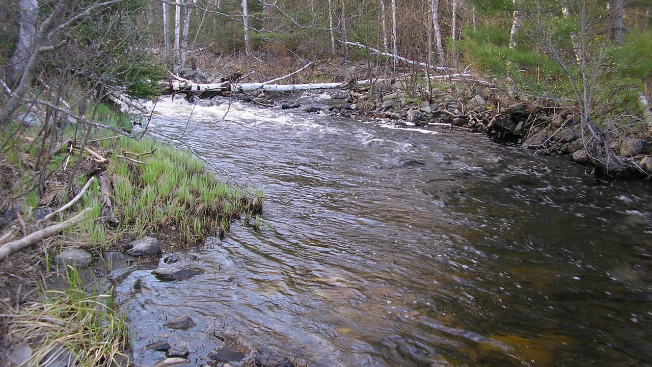 Photo of Others in River Valley