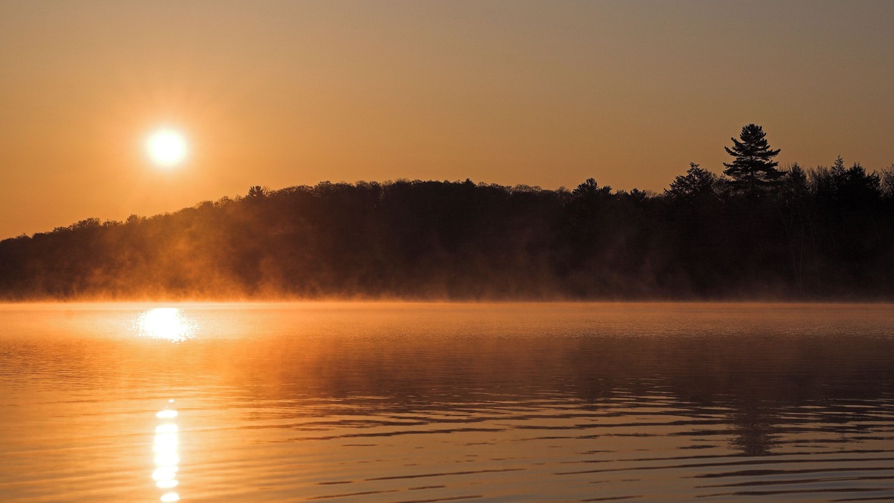 Photo of Others in Lake of Bays