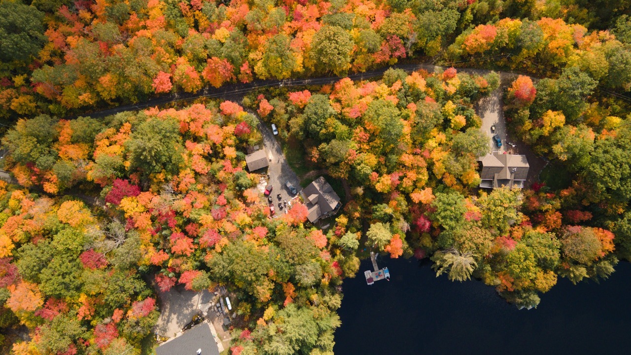 Photo of Outdoor in Lake of Bays