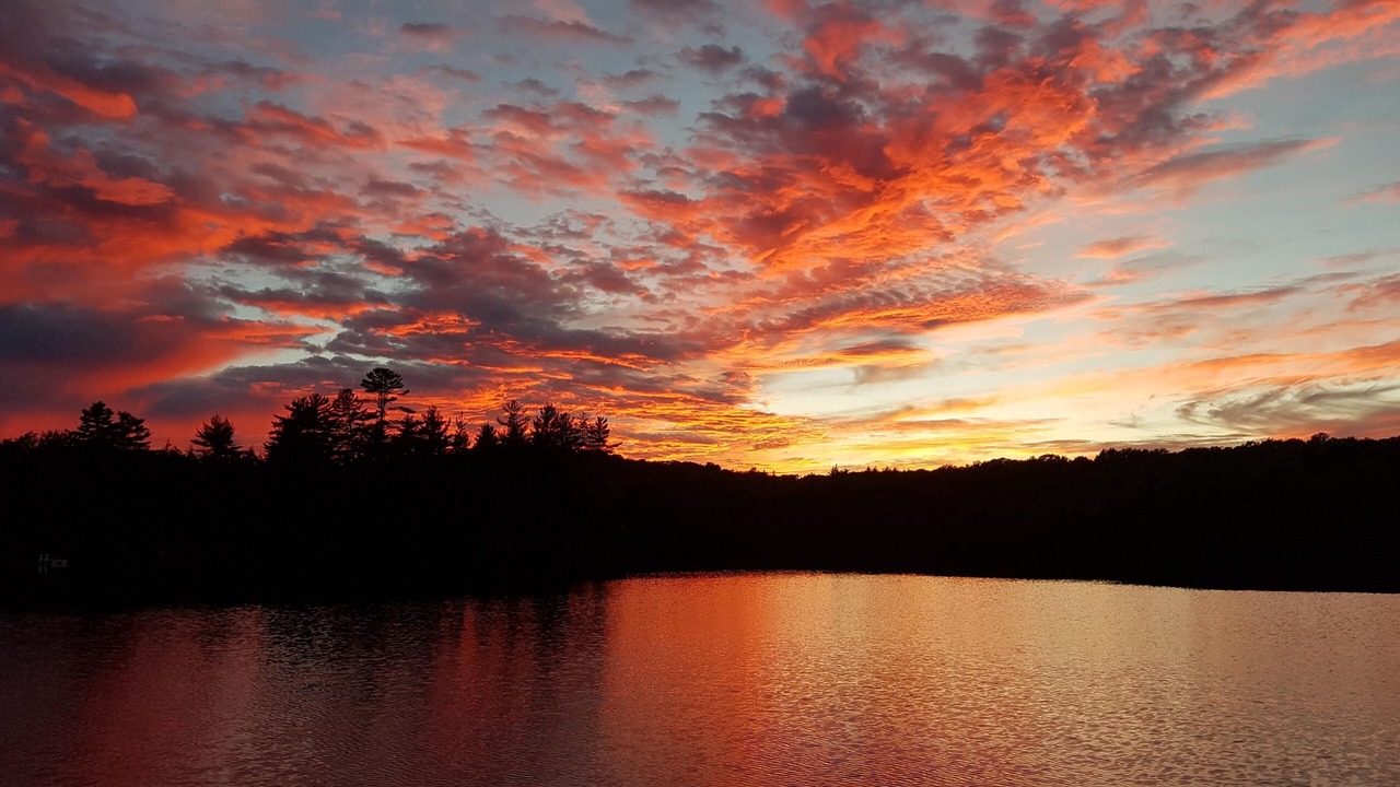 Photo of Others in Lake of Bays