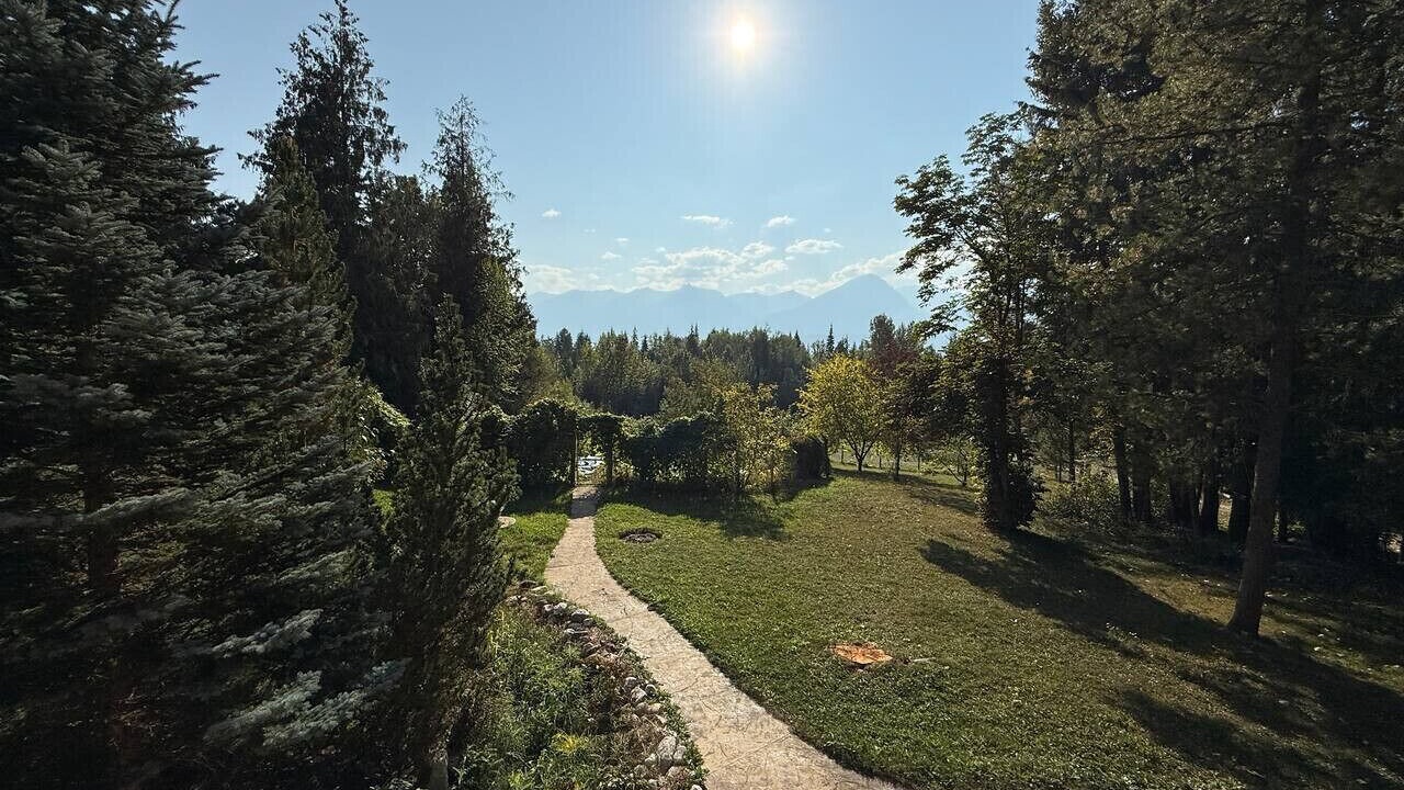 Photo of Outdoor in Golden