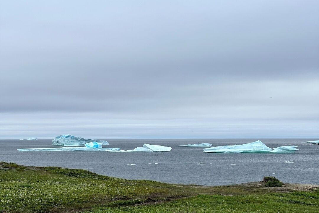 Photo of Others in Crow Head