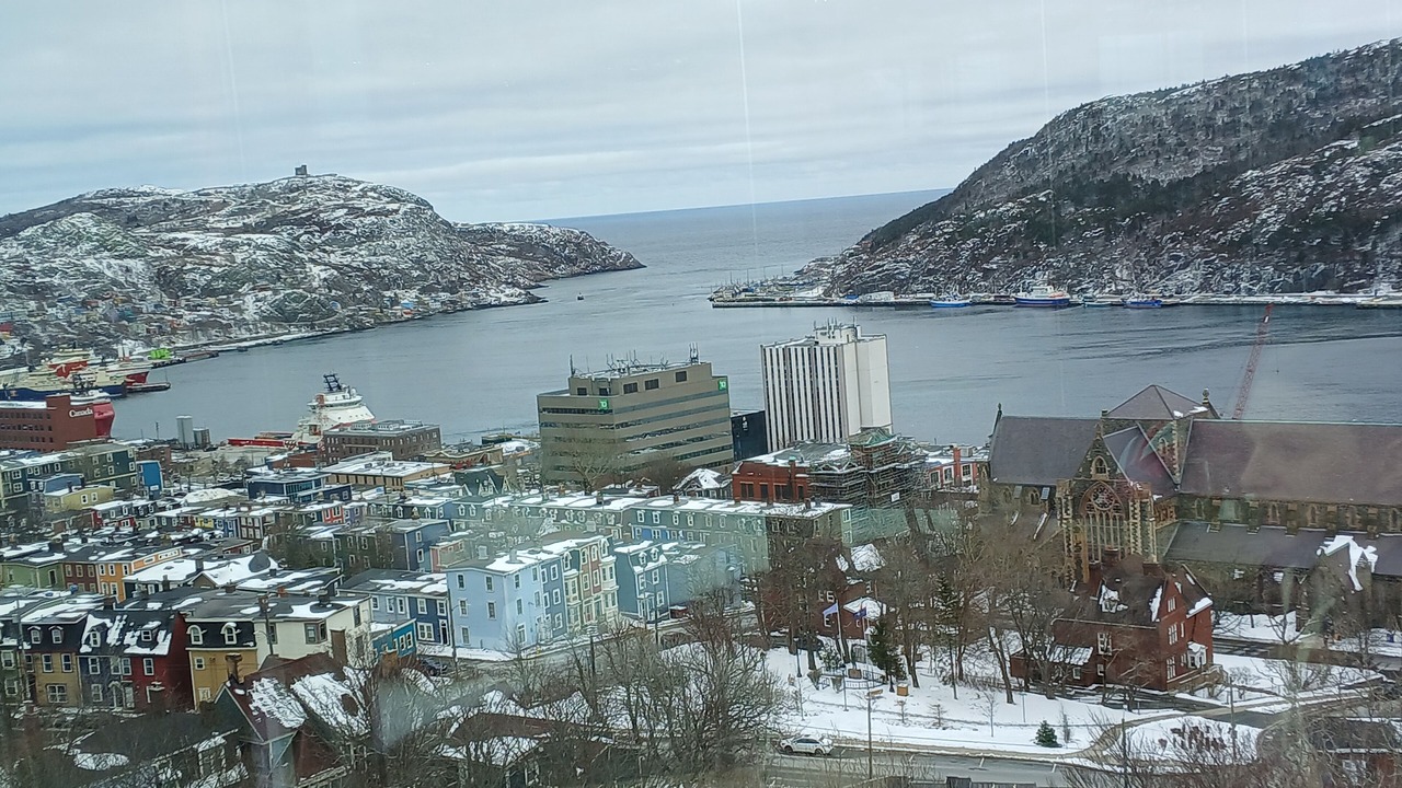 Photo of Others in Downtown St. John's