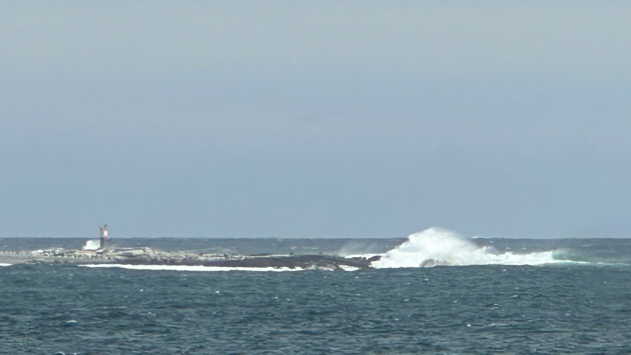 Photo of Others in Port Medway