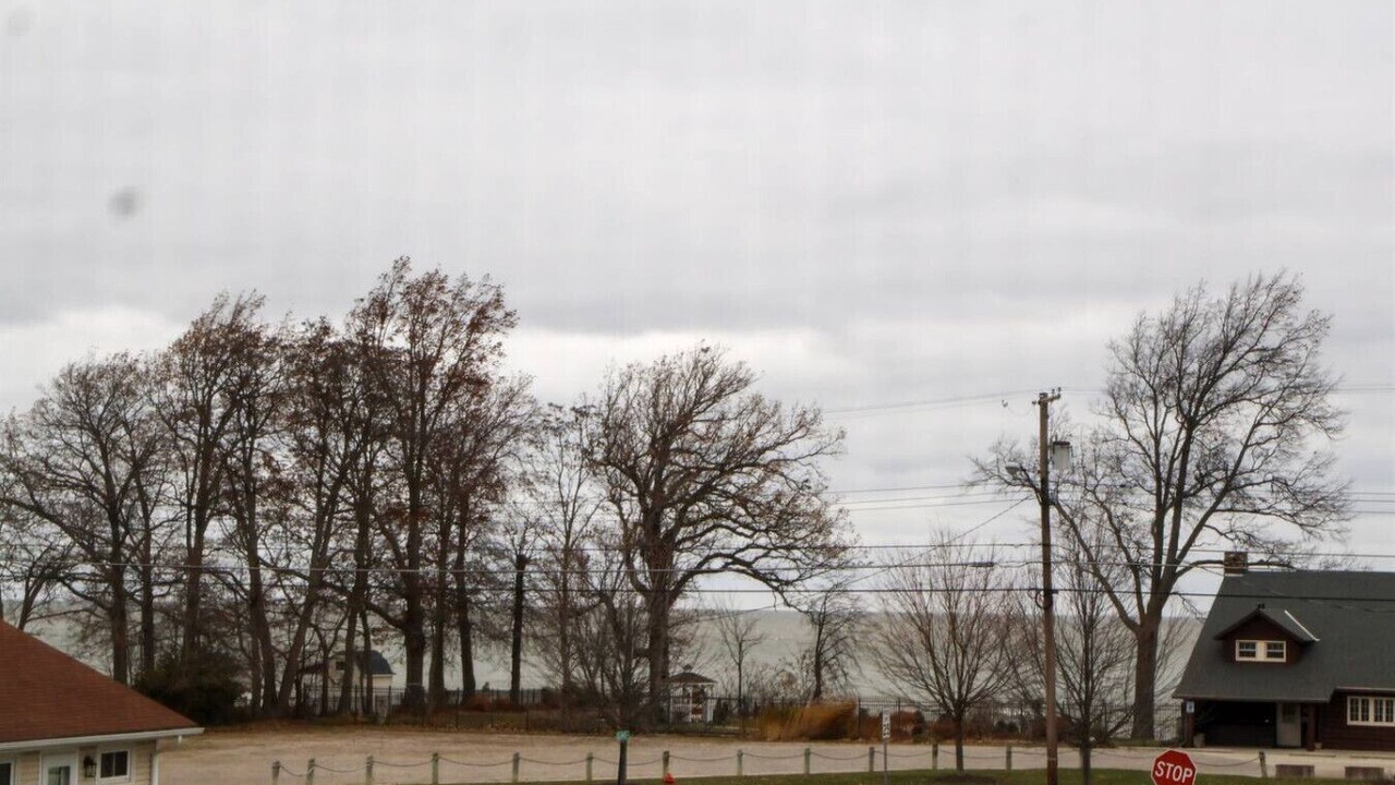 Photo of Others in Vermilion