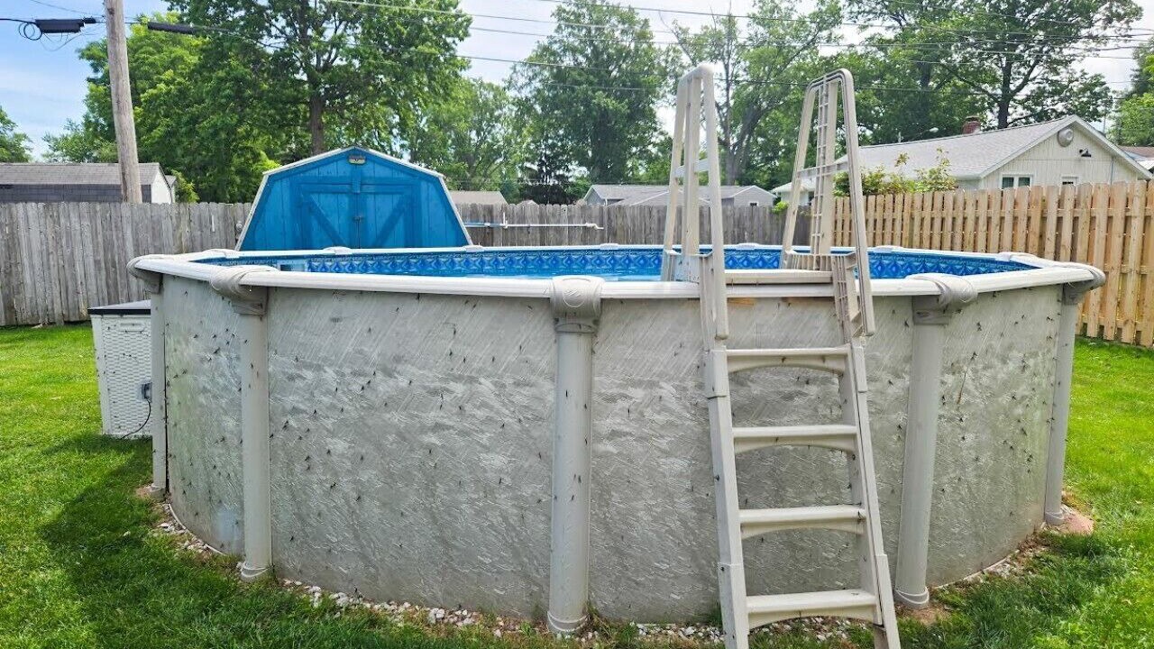 Photo of Outdoor in Vermilion
