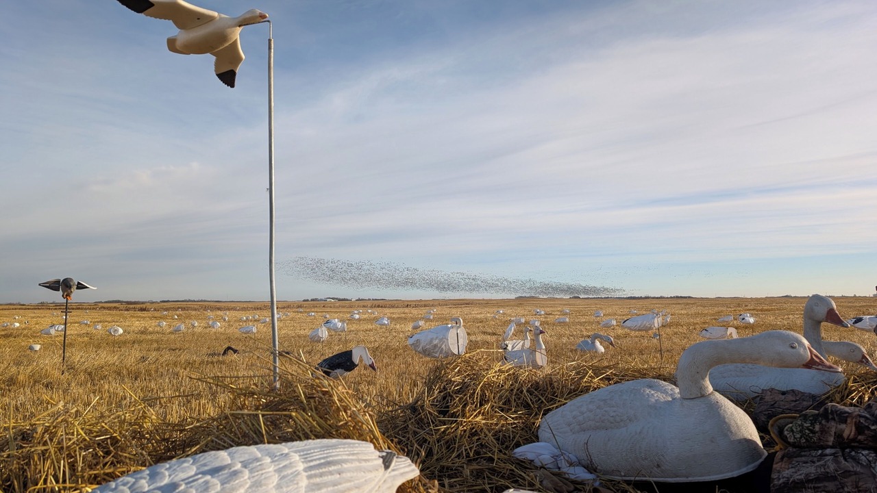 Photo of Others in East Central Saskatchewan