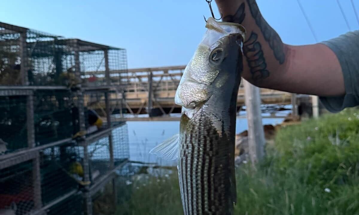 Photo of Others in Port Hood
