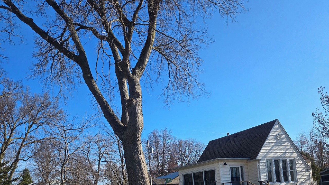 Photo of Outdoor in Boblo Island