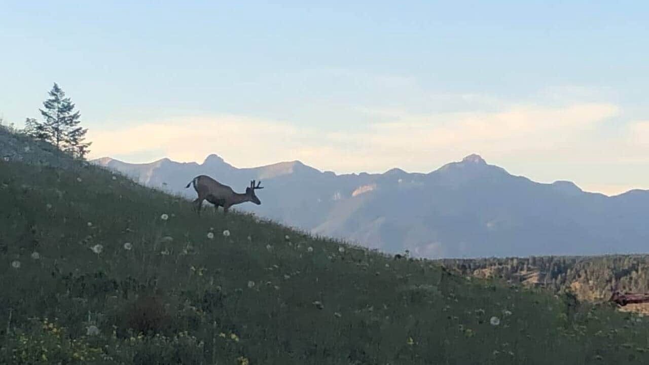 Photo of Others in Koocanusa Ranch