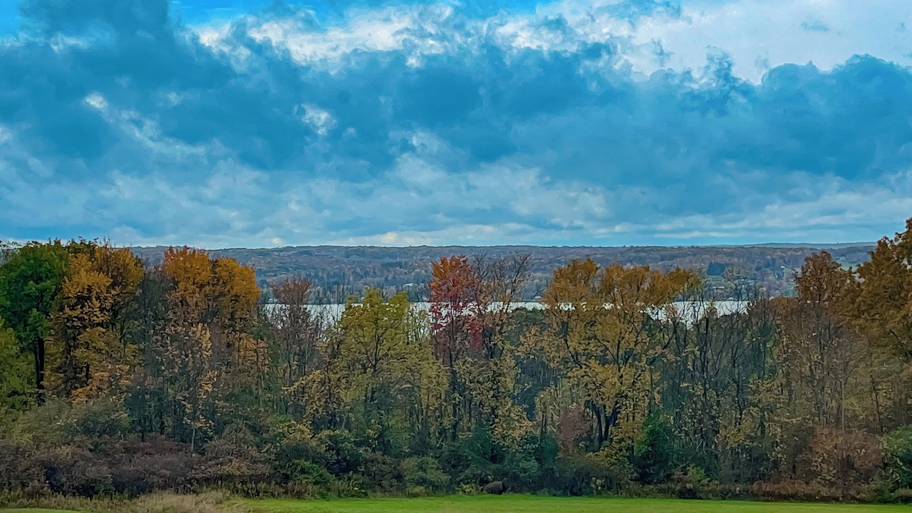 Photo of Others in Bemus Point