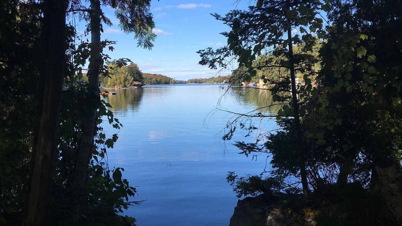 Photo of Others in Rideau Lakes