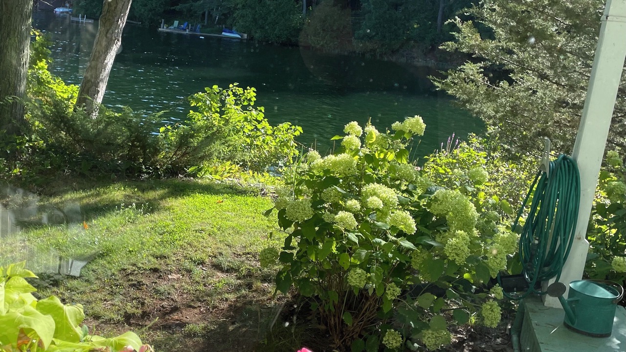 Photo of Outdoor in Rideau Lakes
