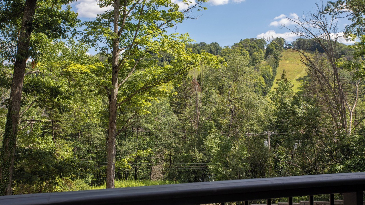 Photo of Others in Ellicottville