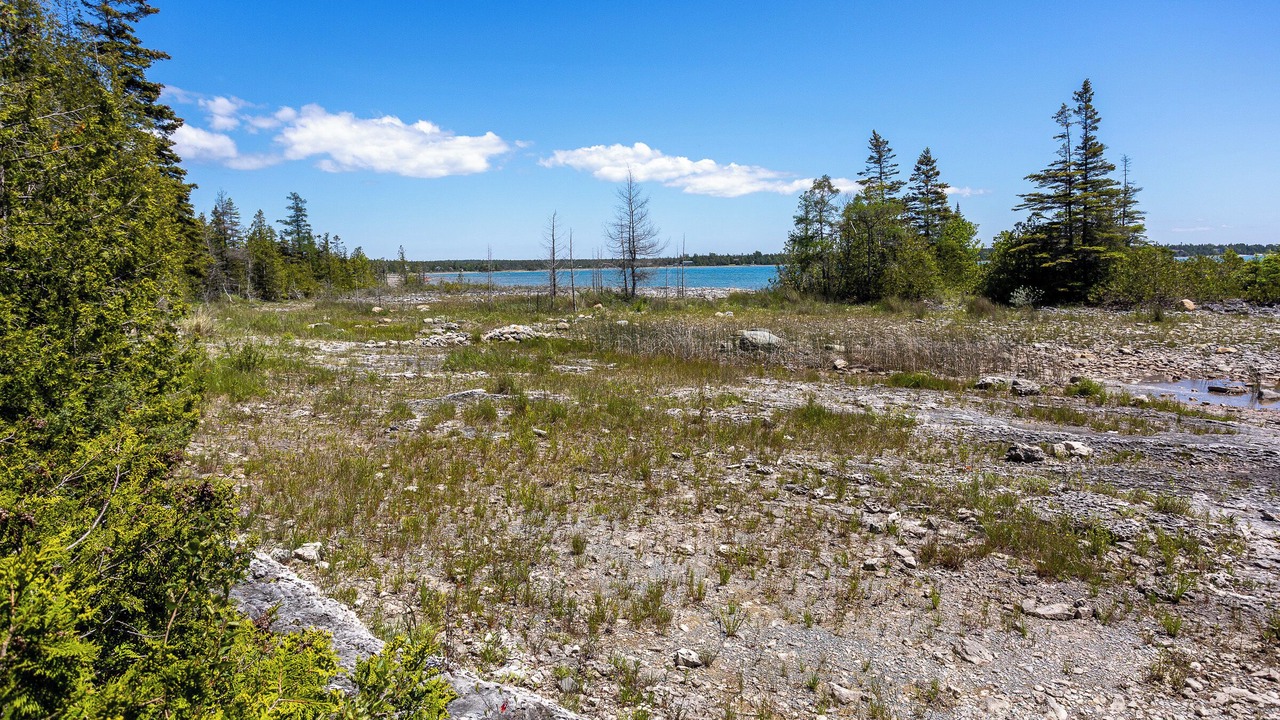 Photo of Others in Northern Bruce Peninsula