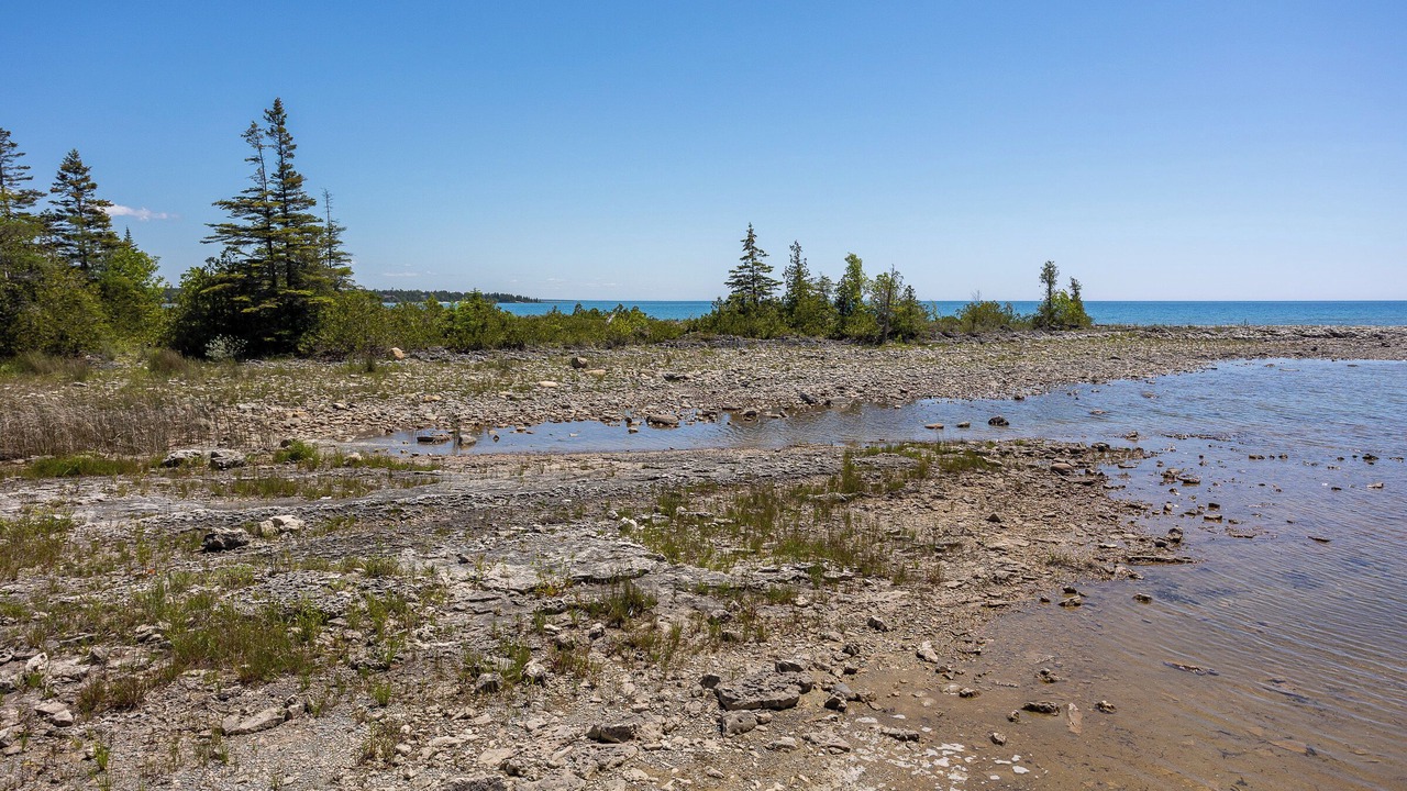 Photo of Others in Northern Bruce Peninsula