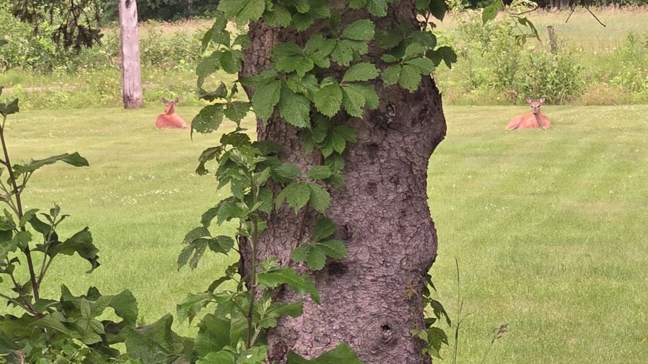 Photo of Outdoor in Nipissing