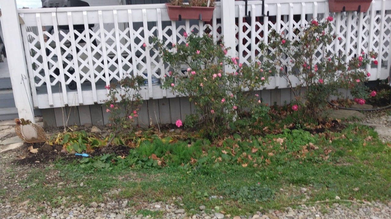 Photo of Outdoor in Ripley