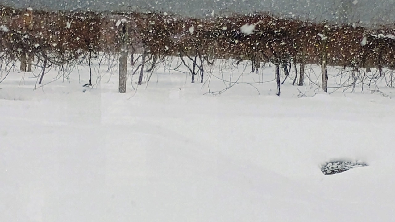 Photo of Others in Ripley