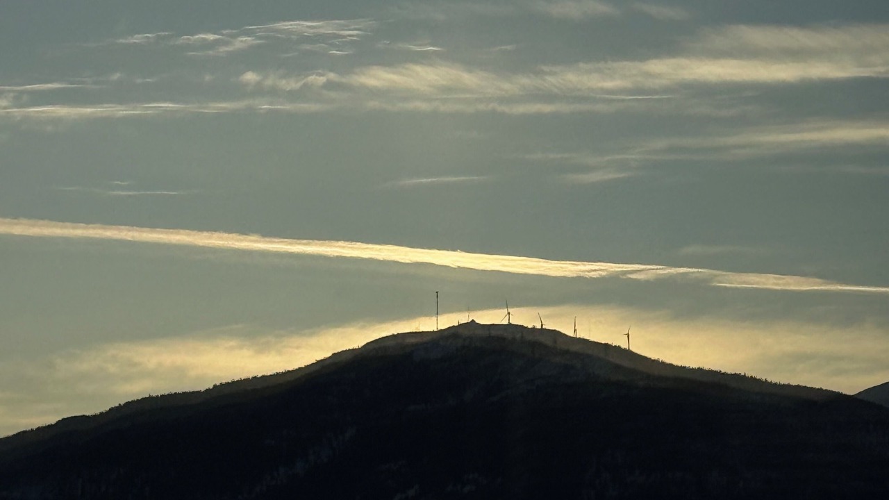 Photo of Others in Whitehorse