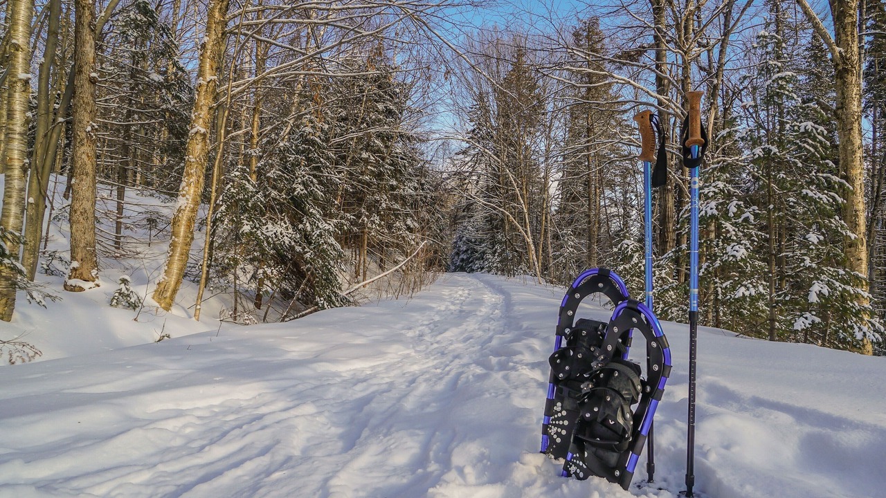 Photo of Others in Sainte-Lucie-des-Laurentides