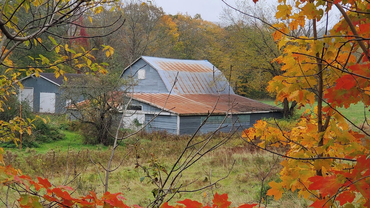 Photo of Outdoor in Newport Landing