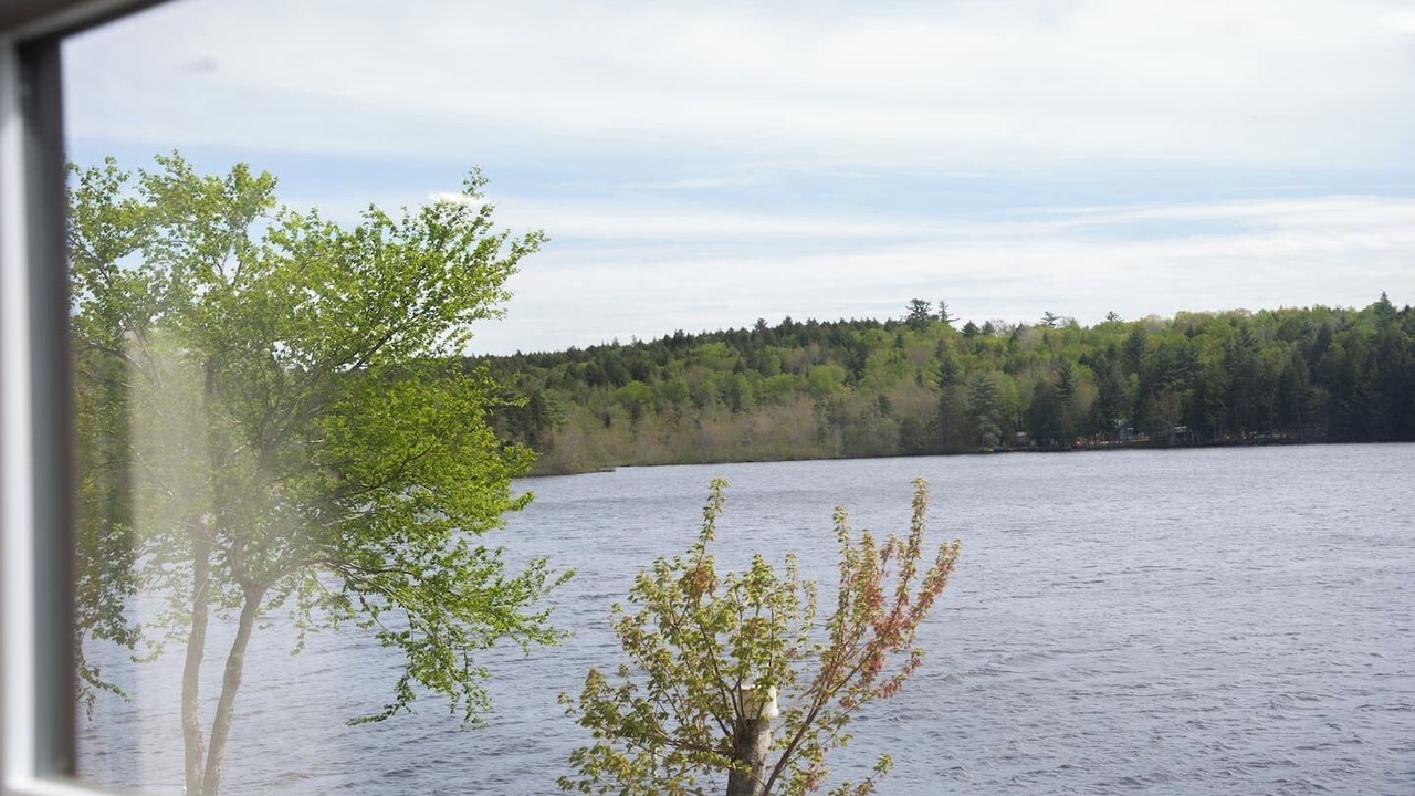 Photo of Others in Lunenburg County