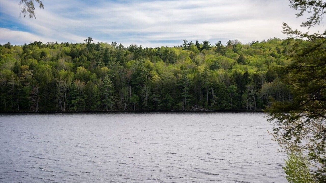 Photo of Others in Lunenburg County